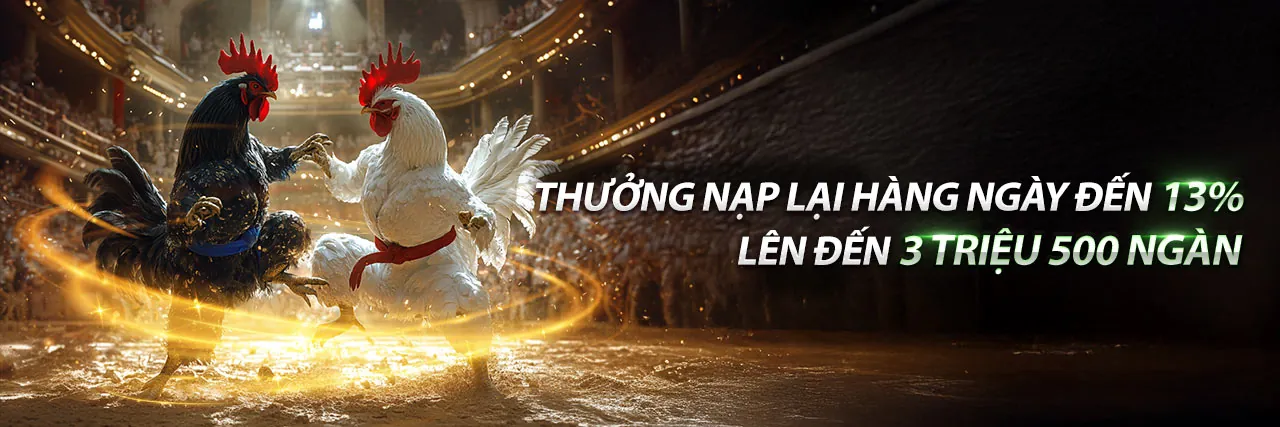 Đội ngũ hỗ trợ khách hàng 95vn sẵn sàng giải đáp mọi thắc mắc